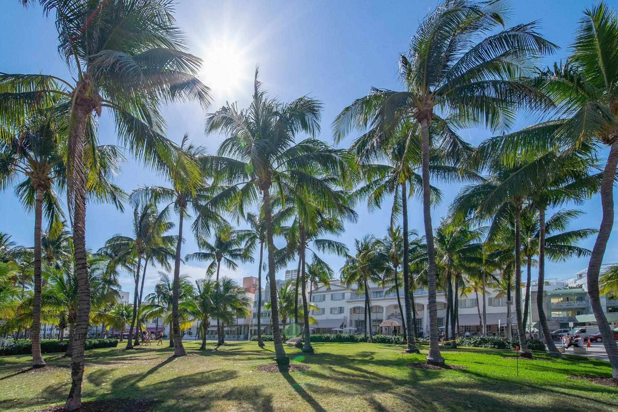 Beachy 1 B/R, W/2 Queen Beds, On Ocean Drive Beach Miami Beach Eksteriør bilde
